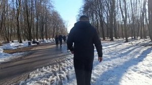 Лесопарк из лета в зиму и обратно шаурма на высоте птичьего полета