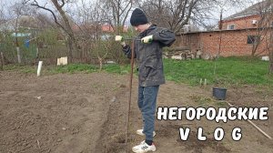 Из города в село на хозяйство! 29.03.26