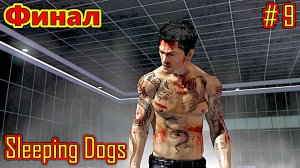 Sleeping Dogs прохождение часть 9 (Финал)