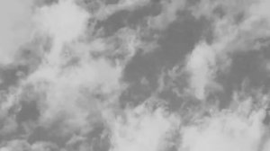 Одинокий волк. Новинка авторской песни 2026