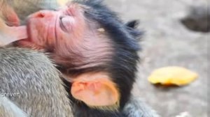 Поток открыт! 5 минут  обоюдного согласия ...   1000046185.mp4