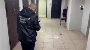 СК показал кадры нападения подсудимого на полицейских в суде Долгопрудного.