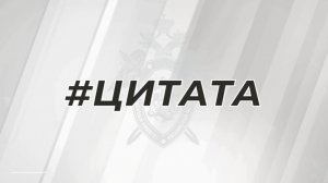 Из интервью А.И. Бастрыкина РИА Новости