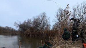 РЫБАЛКА НА ПОПЛАВОК! КАБАНЫ ГНУТ УДОЧКИ! Снасти здрасьте!