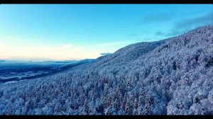 Душа продолжает любить