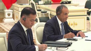 Владимир Путин принял в Кремле министра иностранных дел Египта Бадра Абдельати.