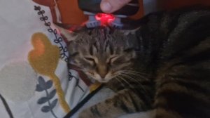 Вечерний массаж 💆♂️