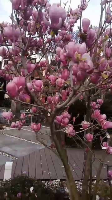 #ВЛЮБИЛСЯ С ПЕРВОГО ВЗГЛЯДА И ИЩУ ТЕБЯ