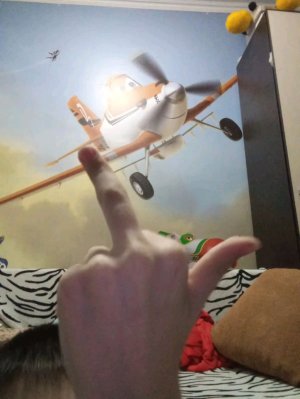 срим обосрим