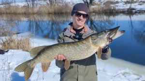 Ловля щуки в марте на джиг. Первый трофей сезона.