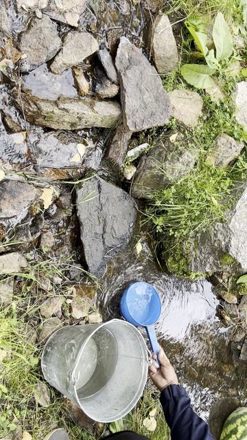 В ЛЕСУ ПЬЕМ РОДНИКОВУЮ ЧИСТУЮ ВОДУ.