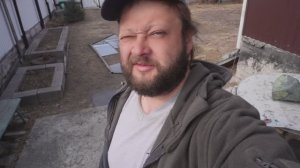 Утро второго апреля Бегу к домашним животным ПОДВАЛ ИЛЬИЧА