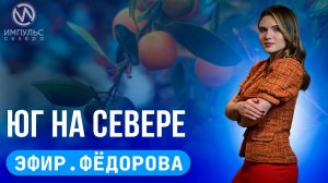 Эфир. Вырастить лимон на Севере. Мастер-класс по волейболу. Помочь бойцам.