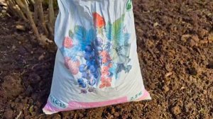 Чем я подкармливаю свой сад весной