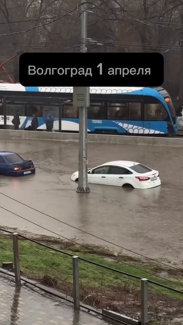 1 апреля волгоград