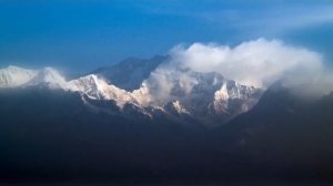 1. Дарджилинг (3)