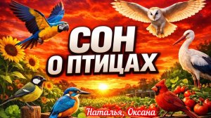 СОН О ПТИЦАХ- КАК ОБРАЗ НАРОДОВ МИРА.  Наталья, Оксана