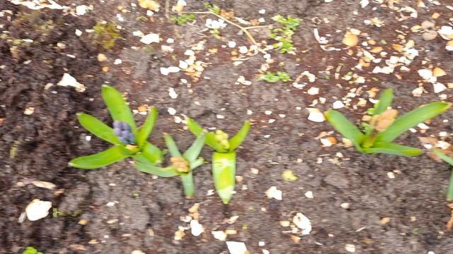 Пробежимся по двору...