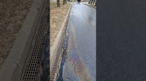 Водоохранная зона в заказнике