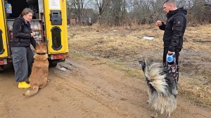 Доставка свай, завершение сложной работы и первый весенний дождь