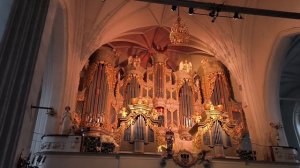 Органный концерт в Калининградском соборе на острове Канта.