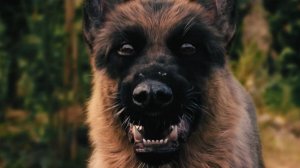 Псарня - Русский трейлер (Дубляж, 2026)