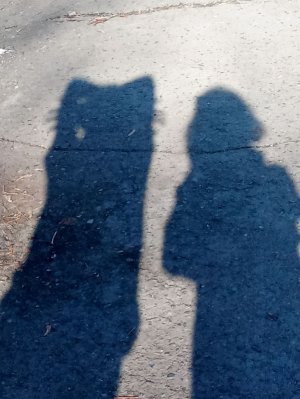 если что я не люблю аниме Я просто не знала что поставить