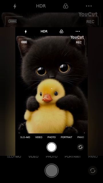 Видео на 22 сек