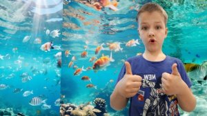 ВЛОГ ИЗ КРОКУС СИТИ ОКЕАНАРИУМ !!! — Видео от RYDOAVD