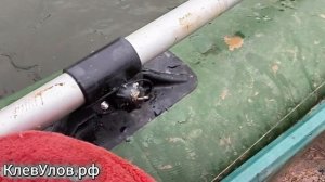 Рыбалка на спиннинг, ноябрь, Саратовская обл.