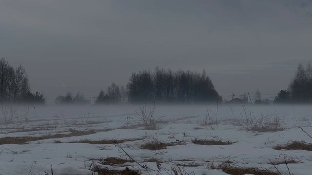 Туман на поле