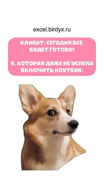 ахахах 🌚 #excel #юмор #клиенты