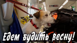 Едем будить весну | Открытие сезона 2026