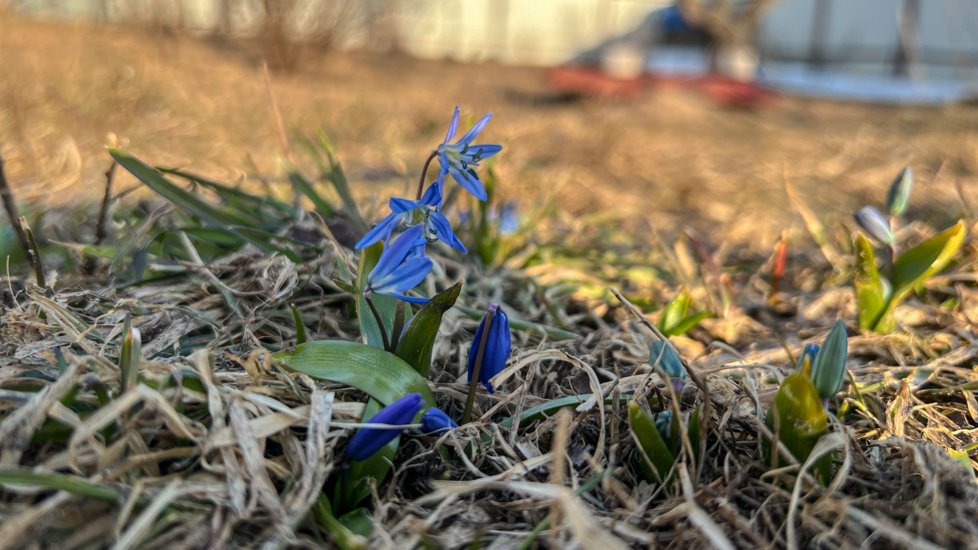 2026 3 март 25 Елец - Излегоще