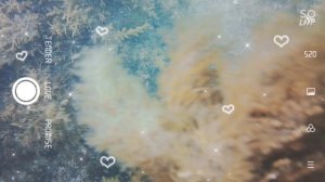 Soloop_20260318161633.mp4