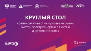 Круглый стол «Зеленая» повестка и развитие рынка чистой электроэнергии в России и других странах»