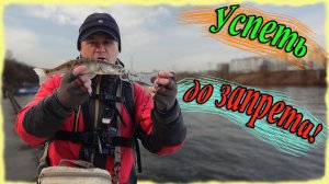 Успеть до запрета! Рыбалка в Филевском парке