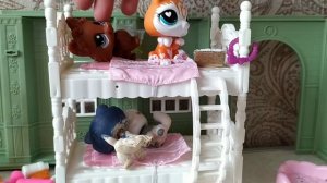 lps сериал девки парни рок-н-ролл 5 серия 1 сезона любовь морковь