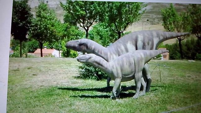 ученные удивились своей находки в Монголии?