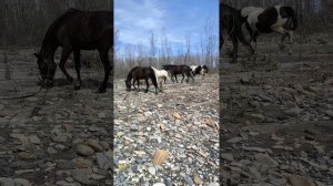 Открыли сезон