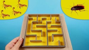 ЧТО ЕСЛИ МАЛЫШИ СКОРПИОНЫ И ТАРАКАН ПОПАДУТ В ЛАБИРИНТ