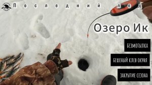 Зверский КЛЕВ ОКУНЯ! Безмотылка! Последний ЛЕД! 4К