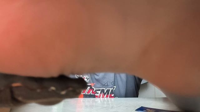 акула и крокодил вас съедят если вы не подпишитесь и не поставьте лайк.