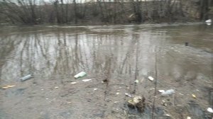 2 апреля,разлив Трубежа