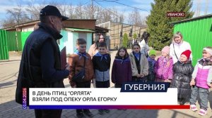 В день птиц «Орлята» взяли под опеку орла Егорку