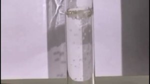 Химия 10 класс. Практическая работа №1. Вариант1. Качественная реакция на бензойную кислоту