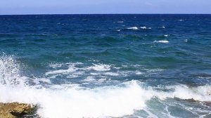 У моря синего весна