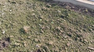 Март, до свидания! Березовый сок. Огород на окошках.