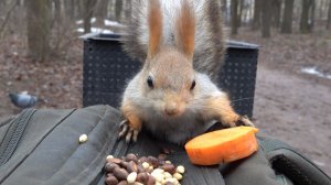 Балерина забежала перекусить. Зарисовка