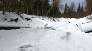 Хариус на лесной речке \ Март 2026 \ Часть 3